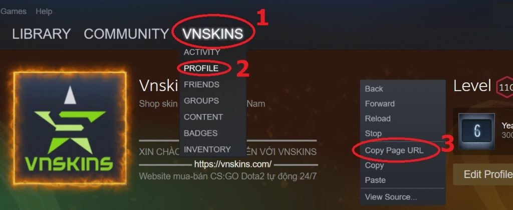 Cách lấy link Profiles Steam